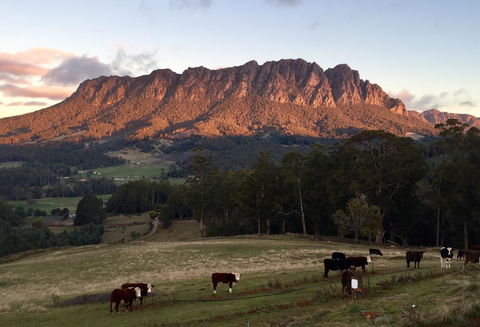 Manna Hill Farm - SA Accommodation 10