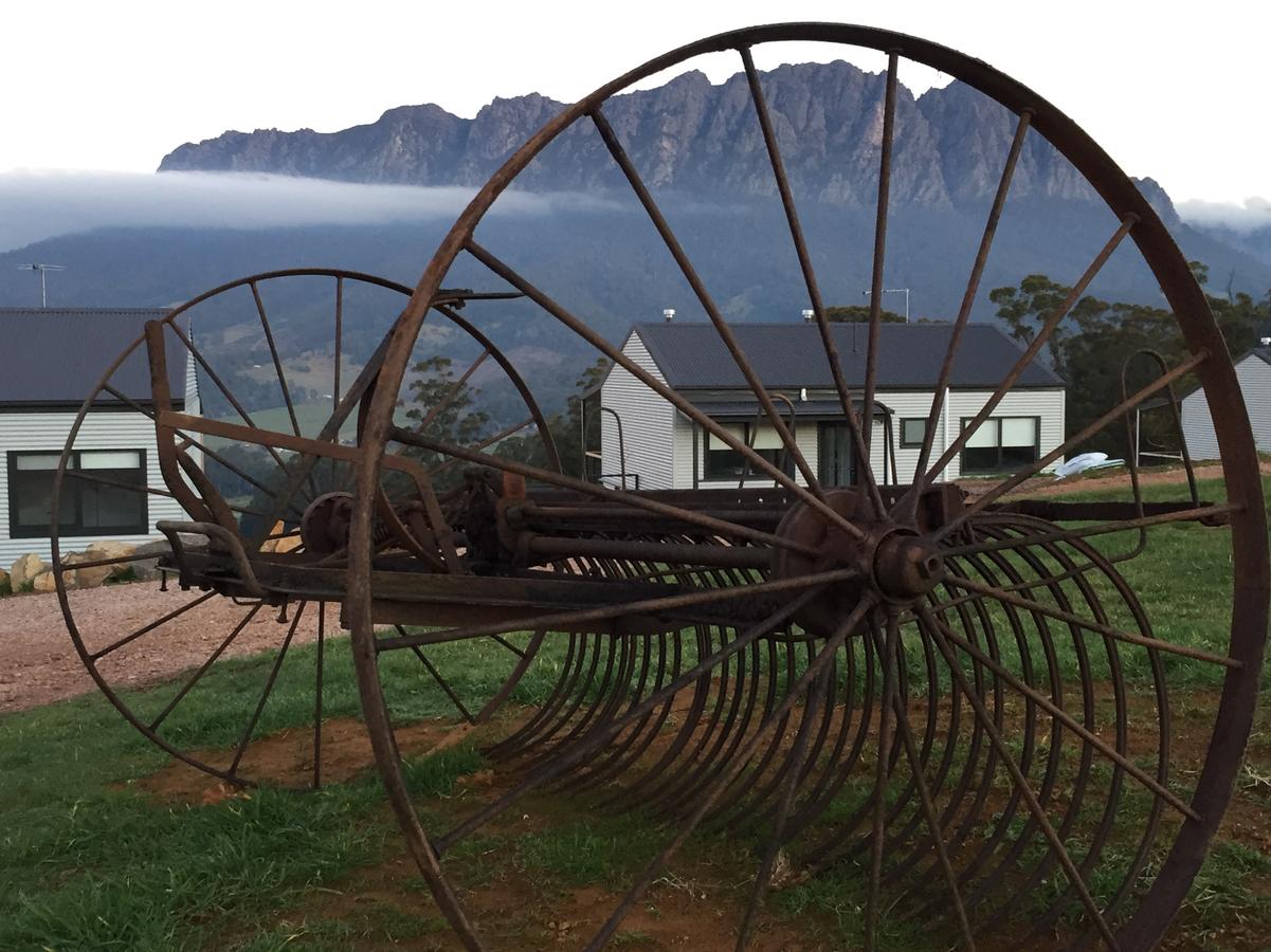 Roland TAS SA Accommodation