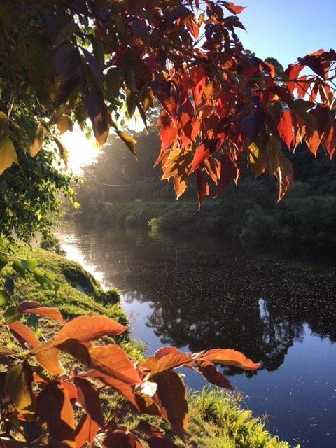 Forth River Cottage - SA Accommodation 4