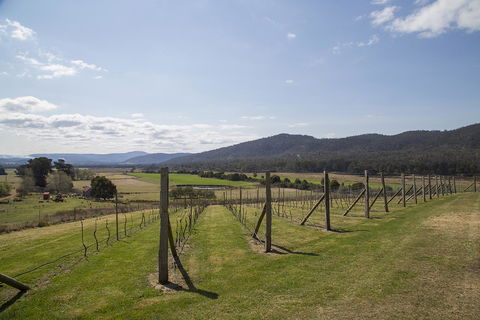 Twamley Farm - SA Accommodation 7