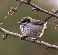 Free Spirit Pods - SA Accommodation