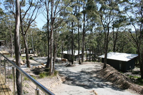 Craggy Peaks Wilderness Cabins - SA Accommodation 22