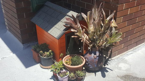 Orange Grove Hotel - SA Accommodation 0