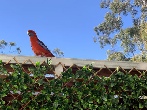 Pinnacle Views - SA Accommodation 2