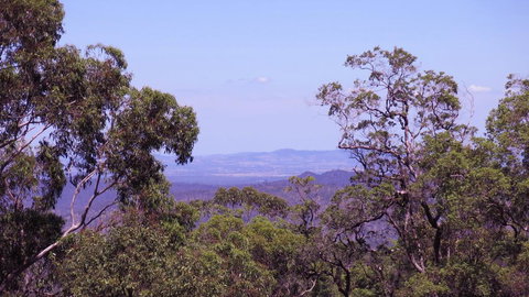 Ravensbourne Escape - Cedar Lodge - SA Accommodation 0