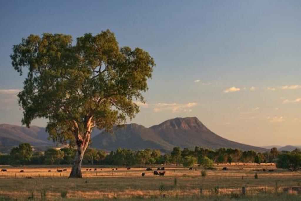 Rubicon ACT SA Accommodation