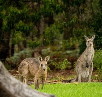 Secura Lifestyle Countryside Kalaru - SA Accommodation