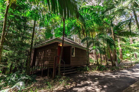 Songbirds Rainforest Retreat - SA Accommodation 2
