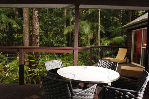 Songbirds Rainforest Retreat - SA Accommodation 1
