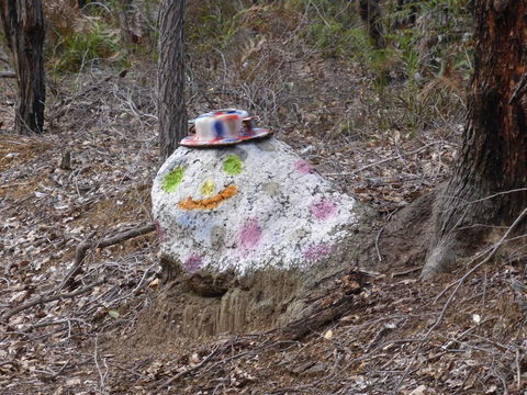 Splendid Wren Cottage - SA Accommodation 3