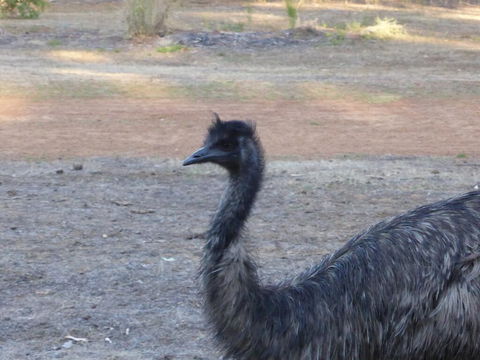 Splendid Wren Cottage - SA Accommodation 2