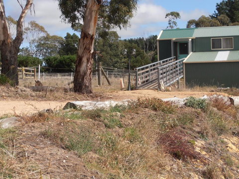 Springmead Rustic Cabin - SA Accommodation 1