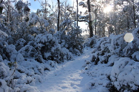 Cradle Mountain Hotel - SA Accommodation 4