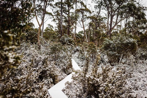 Cradle Mountain Hotel - SA Accommodation 6