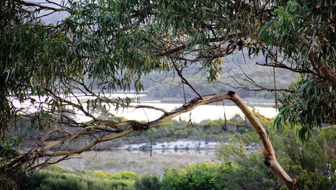 KINGFISHER COTTAGE Beachfront At The Binalong Bay - SA Accommodation 17