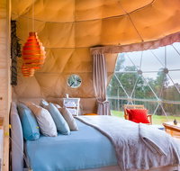 Domescapes in the Vines - SA Accommodation