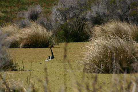 Cloudy Bay Beach House - SA Accommodation 15