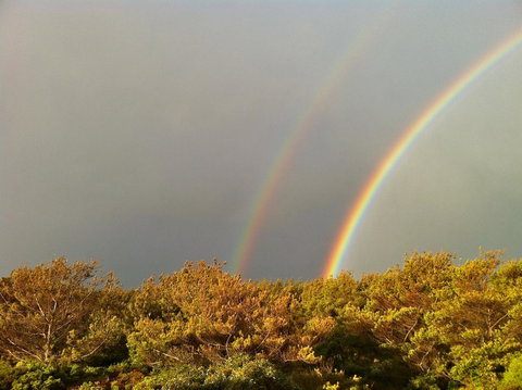 Cloudy Bay Beach House - SA Accommodation 44