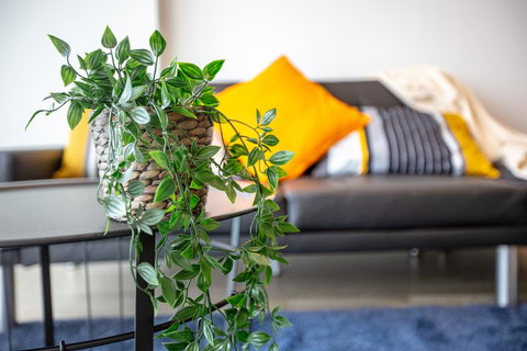 Brand New One/Two - Bed Room Apartment @ Maribyrnong - SA Accommodation 0