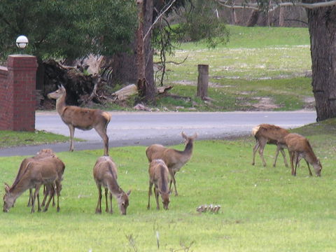 The Grampians Motel - SA Accommodation 23