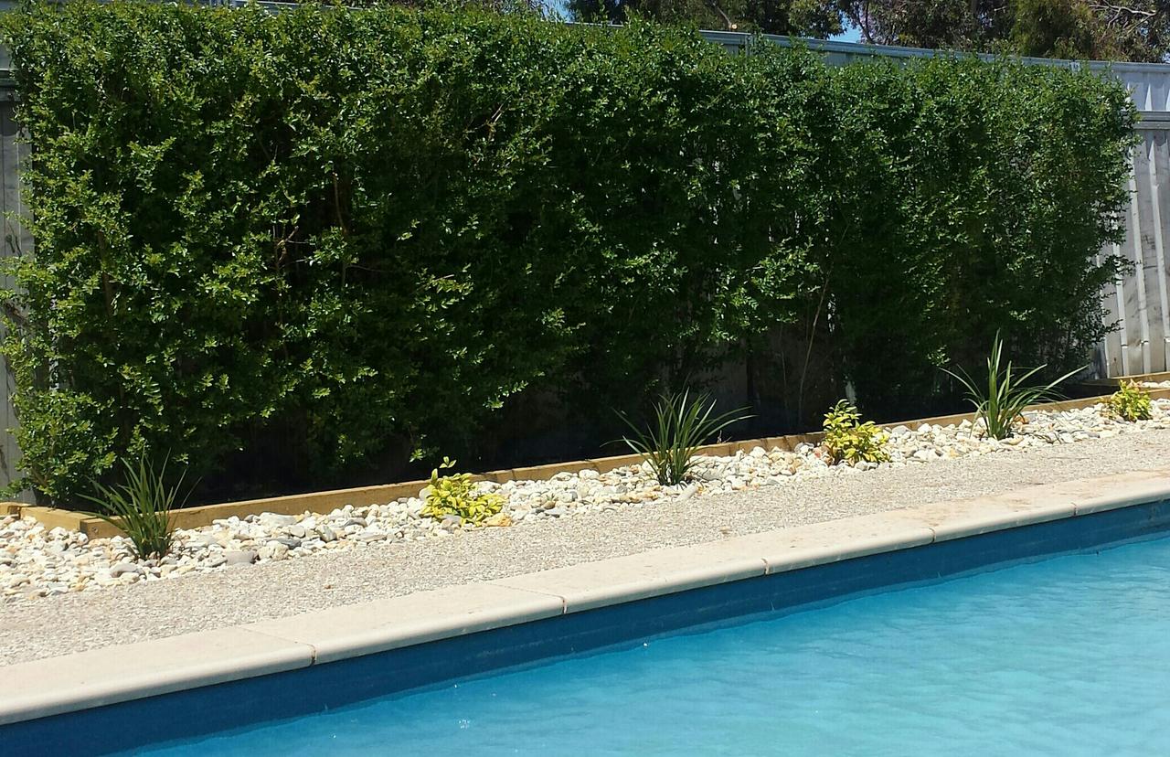 Robinvale Irrigation District Section E VIC SA Accommodation