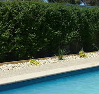 Robinvale Bridge Motel - SA Accommodation