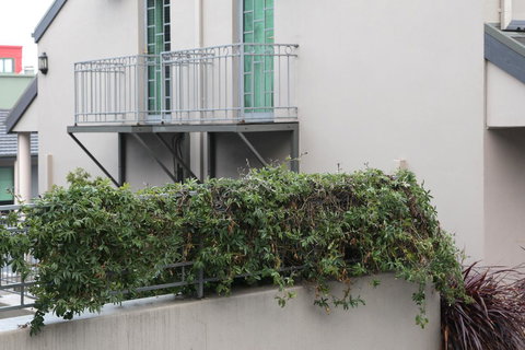 Quality Inn & Suites The Menzies - SA Accommodation 23