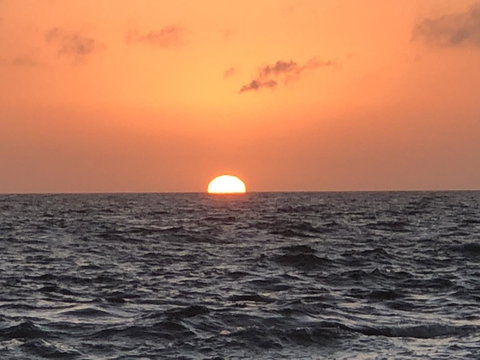 Beautiful, Cosy And Quiet - SA Accommodation 27