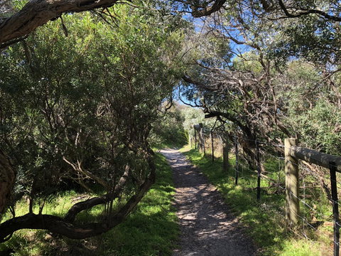 Beautiful, Cosy And Quiet - SA Accommodation 20