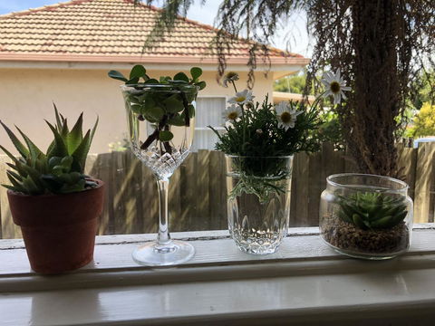 Growse House Yarram 3BR - SA Accommodation 10