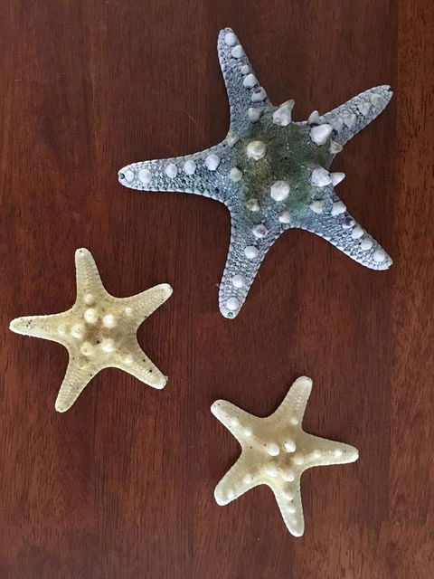 Ocean View Beach House - SA Accommodation 2