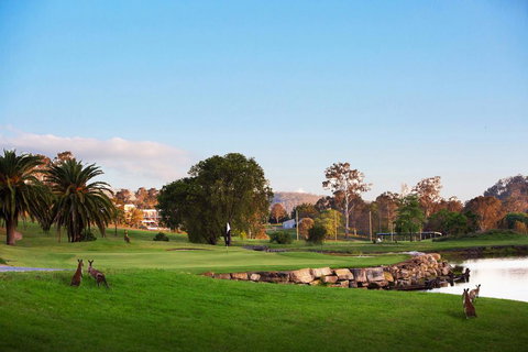 The Kooralbyn Valley - SA Accommodation 1