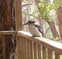 The Ledge Holiday House - SA Accommodation