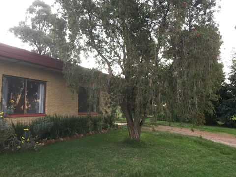 Tree Of Love Farm Stay - SA Accommodation 1