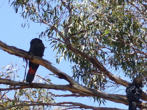 Wanderers Rest Of Kangaroo Island - SA Accommodation 2
