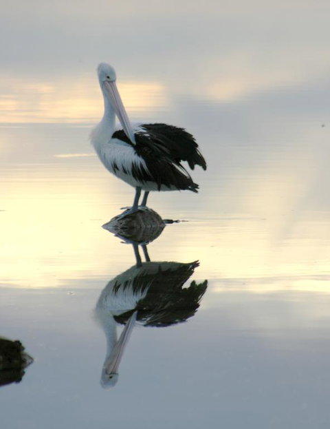 Wanderers Rest Of Kangaroo Island - SA Accommodation 3