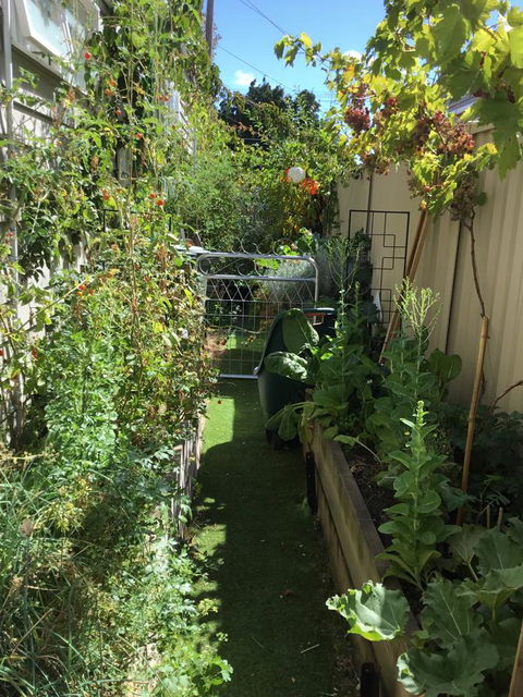 Redruth Cottage - SA Accommodation 7