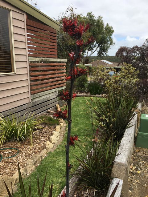 The PC Cottage - SA Accommodation 31