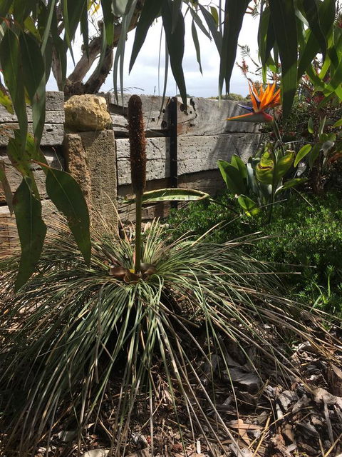 The PC Cottage - SA Accommodation 32