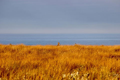 The PC Cottage - SA Accommodation 39