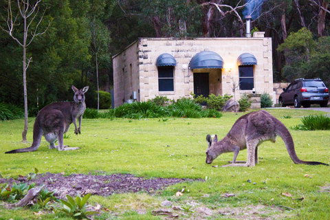 Marwood Villas - SA Accommodation 0