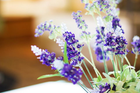 Marwood Villas - SA Accommodation 7