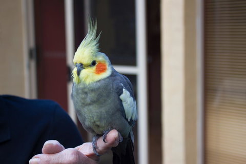 Marwood Villas - SA Accommodation 33