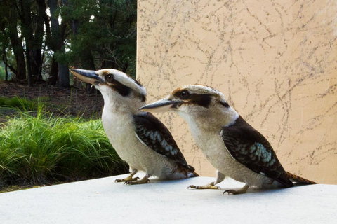 Marwood Villas - SA Accommodation 13