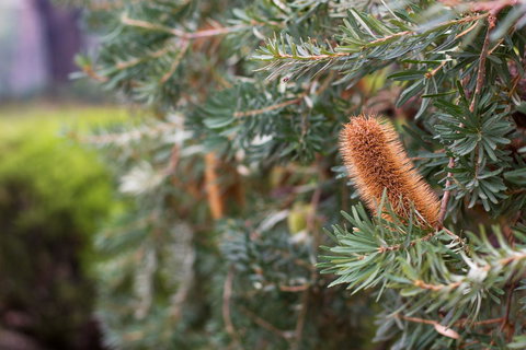 Marwood Villas - SA Accommodation 34