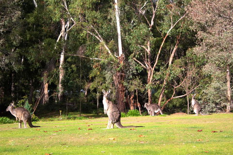 Marwood Villas - SA Accommodation 28