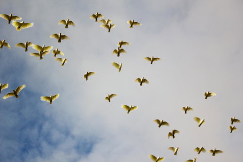 Marwood Villas - SA Accommodation 36