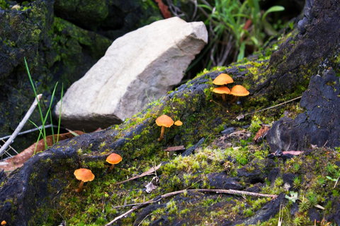 Marwood Villas - SA Accommodation 29