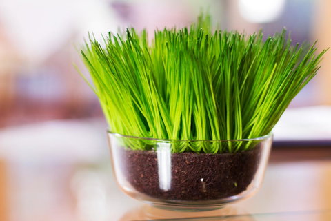 Marwood Villas - SA Accommodation 17