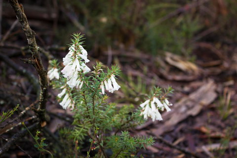 Marwood Villas - SA Accommodation 37